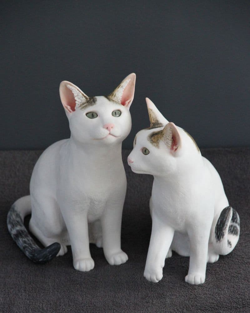 COMMANDES SPÉCIALES - THALES & TAFFIE